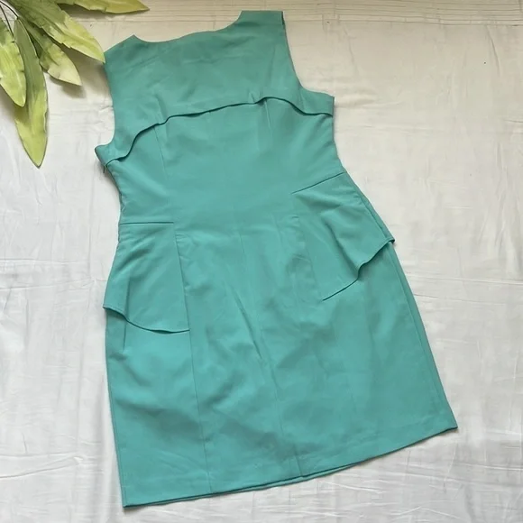 NWT Jayee Sleeveless Dress - Picture 4 of 5